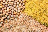 کنجاله سویا,اخبار اقتصادی,خبرهای اقتصادی,کشت و دام و صنعت