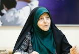 معصومه ابتکار,اخبار سیاسی,خبرهای سیاسی,دولت