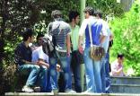 بیکاری فارغ التحصیلان,اخبار دانشگاه,خبرهای دانشگاه,دانشگاه