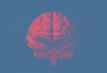 جریان خون مغز,اخبار پزشکی,خبرهای پزشکی,تازه های پزشکی