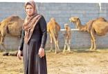 پرورش شتر,اخبار اجتماعی,خبرهای اجتماعی,خانواده و جوانان