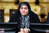 فاطمه سعیدی,اخبار سیاسی,خبرهای سیاسی,مجلس
