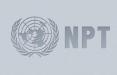 NPT,اخبار سیاسی,خبرهای سیاسی,سیاست خارجی