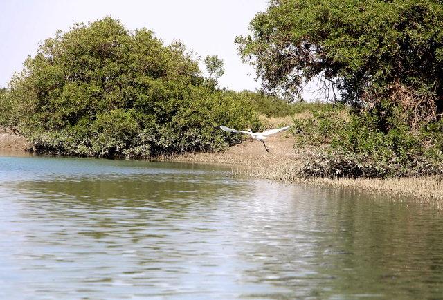 منابع طبیعی منابع طبیعی,اخبار علمی,خبرهای علمی,طبیعت و محیط زیست