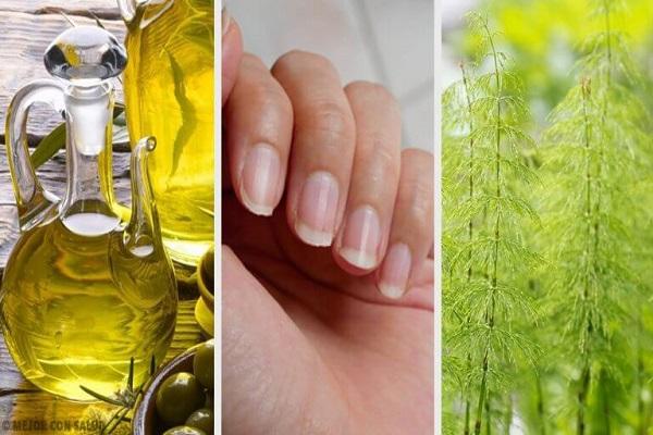 ناخن ناخن,اخبار پزشکی,خبرهای پزشکی,مشاوره پزشکی