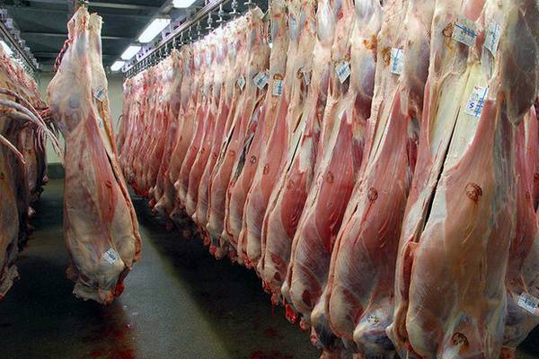 گوشت گوشت,اخبار اقتصادی,خبرهای اقتصادی,کشت و دام و صنعت
