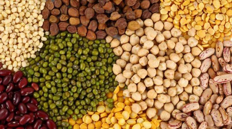 حبوبات حبوبات,اخبار اقتصادی,خبرهای اقتصادی,کشت و دام و صنعت