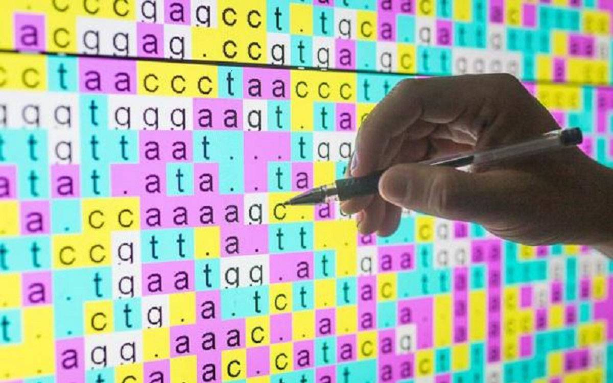 کشف میکروب ترجمه DNA,اخبار پزشکی,خبرهای پزشکی,تازه های پزشکی