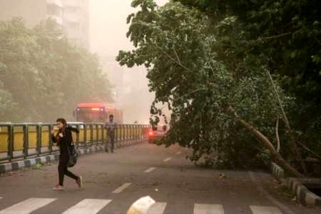 طوفان تهران طوفان تهران,اخبار حوادث,خبرهای حوادث,حوادث طبیعی