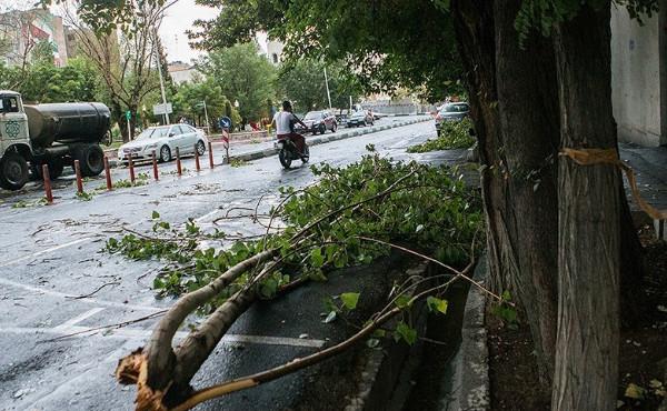 طوفان در تهران طوفان در تهران,اخبار حوادث,خبرهای حوادث,حوادث طبیعی