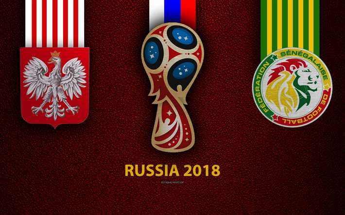 تیم ملی لهستان و سنگال,اخبار فوتبال,خبرهای فوتبال,جام جهانی