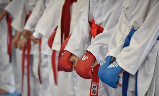 کاراته دانشجویان,اخبار ورزشی,خبرهای ورزشی,ورزش