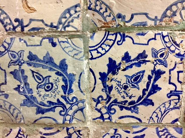 اسکلت باردار,اخبار فرهنگی,خبرهای فرهنگی,میراث فرهنگی