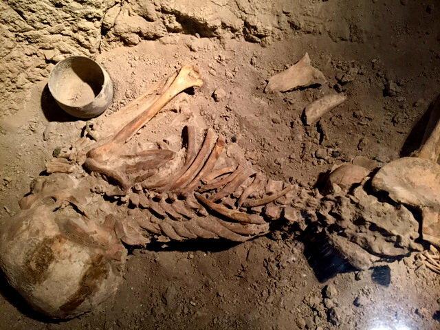 اسکلت باردار,اخبار فرهنگی,خبرهای فرهنگی,میراث فرهنگی