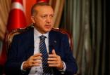 رجب طیب اردوغان,اخبار سیاسی,خبرهای سیاسی,خاورمیانه