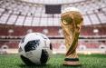 بلیت جام جهانی,اخبار اجتماعی,خبرهای اجتماعی,محیط زیست