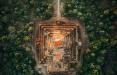 عکس های هوایی معابد بودایی,عکس معابدبودایی,تصاویرمعابد قدیمی بودایی