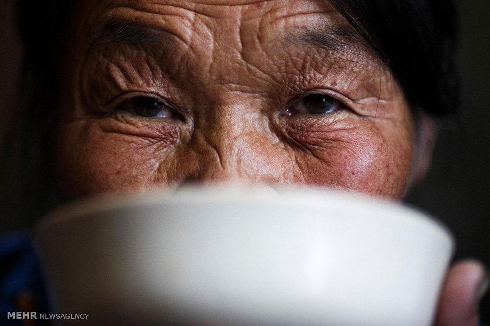 تصاویر زندگی چادرنشینان مغولستان,عکس های سبک زندگی مردم مغولستان,عکس ها پرورش گوزن مردم مغولستان