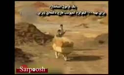 ویدئو/آموزش پرورش قارچ دکمه ای و تولید کمپوست