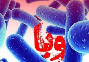رد شایعه شیوع وبا در نوشهر,اخبار پزشکی,خبرهای پزشکی,بهداشت