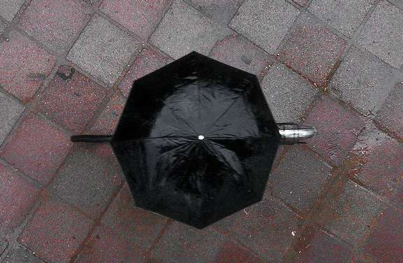 کاهش بارندگی ها,اخبار اجتماعی,خبرهای اجتماعی,محیط زیست