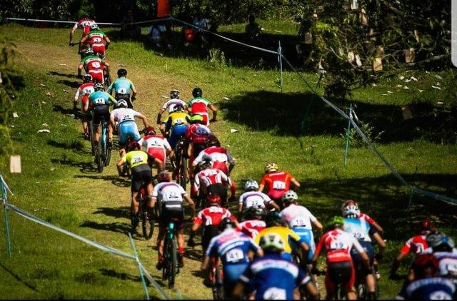 مسابقات دوچرخه سواری کوهستان,اخبار ورزشی,خبرهای ورزشی,ورزش