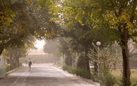 گرد و خاک,اخبار اجتماعی,خبرهای اجتماعی,محیط زیست