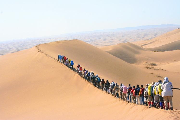 مرنجاب,اخبار اجتماعی,خبرهای اجتماعی,محیط زیست