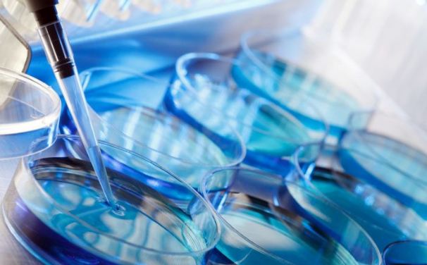 مردان نابارور,اخبار پزشکی,خبرهای پزشکی,تازه های پزشکی