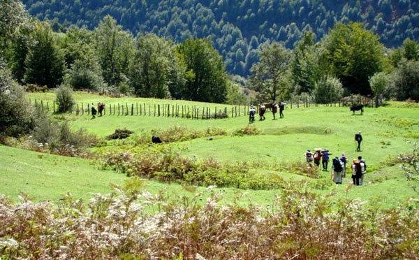 گردشگری,اخبار اجتماعی,خبرهای اجتماعی,محیط زیست