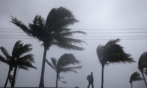 بارش پراکنده باران بارش پراکنده باران,اخبار اجتماعی,خبرهای اجتماعی,محیط زیست