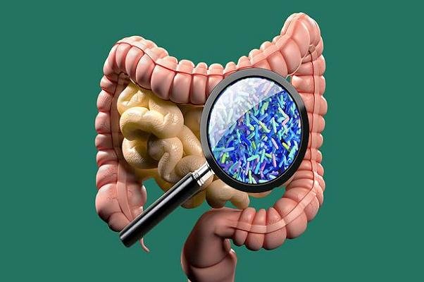 پیشگیری از اوتیسم پیشگیری از اوتیسم,اخبار پزشکی,خبرهای پزشکی,تازه های پزشکی
