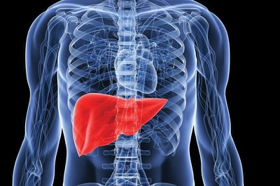 بیماری کبد چرب بیماری کبد چرب,اخبار پزشکی,خبرهای پزشکی,مشاوره پزشکی