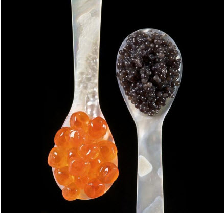 خاویار,اخبار جالب,خبرهای جالب,خواندنی ها و دیدنی ها