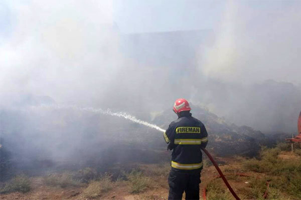 آتش گرفتن ۲۰ هکتار از اراضی کشاورزی وادان,اخبار حوادث,خبرهای حوادث,حوادث امروز