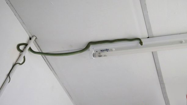 هجوم مارها به خانه های همدان,اخبار حوادث,خبرهای حوادث,حوادث امروز