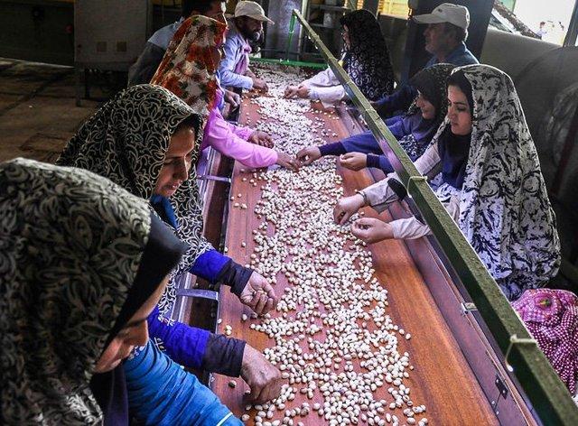 مشاغل روستایی,اخبار اشتغال و تعاون,خبرهای اشتغال و تعاون,اشتغال و تعاون