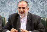 حسام الدین آشنا,اخبار سیاسی,خبرهای سیاسی,دولت