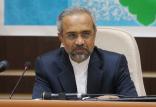 محمد نهاوندیان,اخبار سیاسی,خبرهای سیاسی,دولت
