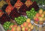 میوه,اخبار اقتصادی,خبرهای اقتصادی,کشت و دام و صنعت