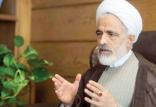 مجید انصاری,اخبار سیاسی,خبرهای سیاسی,اخبار سیاسی ایران
