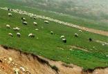 مراتع ایران,اخبار اقتصادی,خبرهای اقتصادی,کشت و دام و صنعت