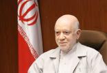 محمدنبی حبیبی,اخبار سیاسی,خبرهای سیاسی,اخبار سیاسی ایران