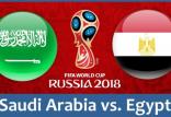 تیم ملی مصر,اخبار فوتبال,خبرهای فوتبال,جام جهانی
