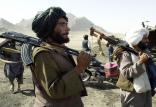طالبان,اخبار افغانستان,خبرهای افغانستان,تازه ترین اخبار افغانستان