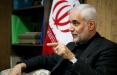 محسن مهرعلیزاده,اخبار سیاسی,خبرهای سیاسی,اخبار سیاسی ایران