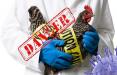 آنفلونزای فوق حاد پرندگان,اخبار پزشکی,خبرهای پزشکی,بهداشت