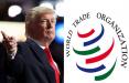 ترامپ خواهان جدایی آمریکا از سازمان تجارت جهانی,اخبار سیاسی,خبرهای سیاسی,اخبار بین الملل