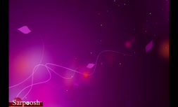 ویدئو/ کاشت خیار به روش کشاورزی مدرن