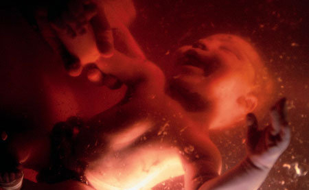 جنین,اخبار پزشکی,خبرهای پزشکی,بهداشت